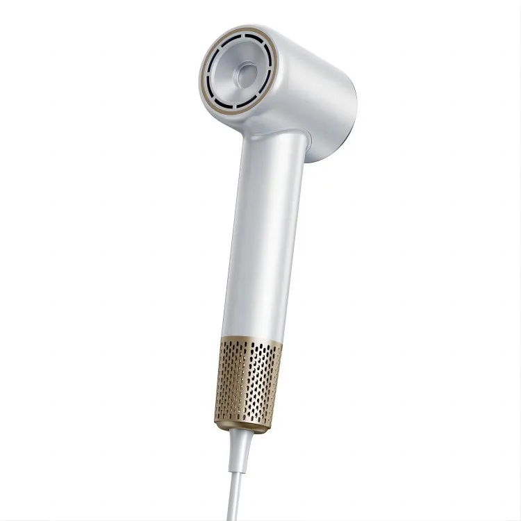 전문 맞춤형 헤어드라이어